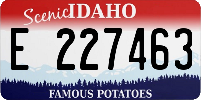 ID license plate E227463