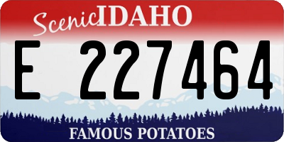 ID license plate E227464