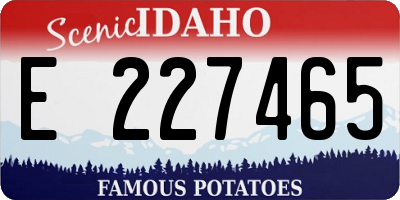 ID license plate E227465