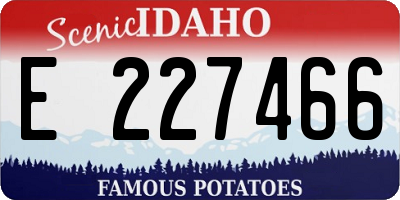 ID license plate E227466