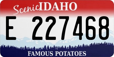 ID license plate E227468