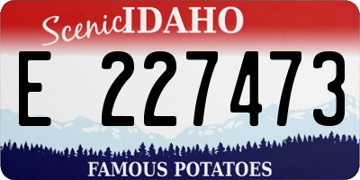 ID license plate E227473
