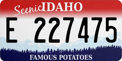 ID license plate E227475