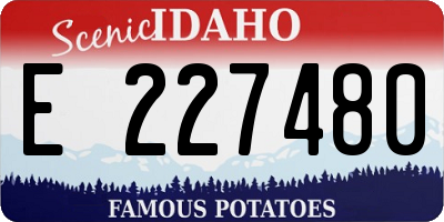 ID license plate E227480
