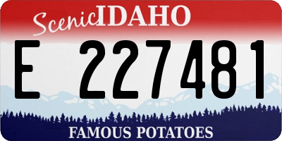 ID license plate E227481