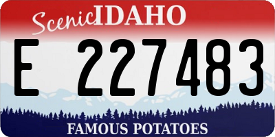 ID license plate E227483