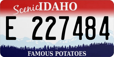 ID license plate E227484