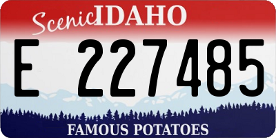 ID license plate E227485