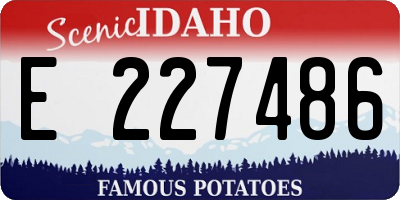 ID license plate E227486