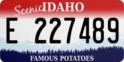 ID license plate E227489