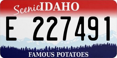 ID license plate E227491