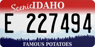 ID license plate E227494