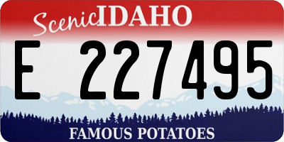 ID license plate E227495