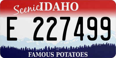 ID license plate E227499