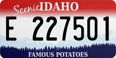 ID license plate E227501