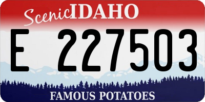 ID license plate E227503