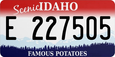 ID license plate E227505