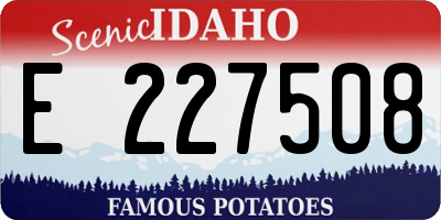 ID license plate E227508