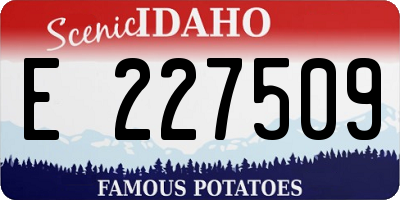 ID license plate E227509