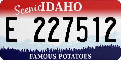 ID license plate E227512