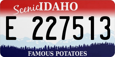 ID license plate E227513