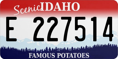 ID license plate E227514