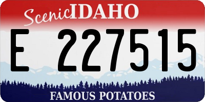 ID license plate E227515