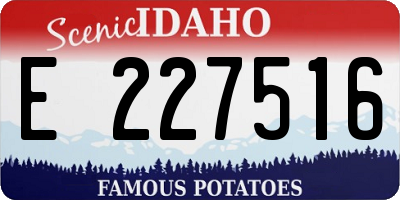 ID license plate E227516