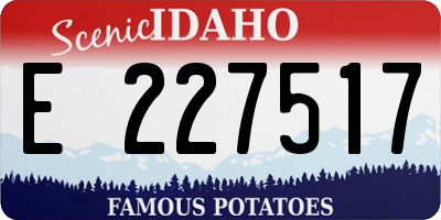 ID license plate E227517