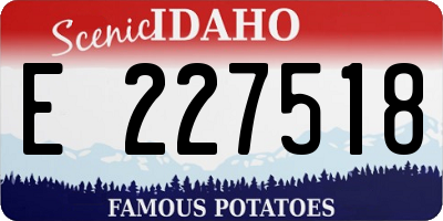 ID license plate E227518