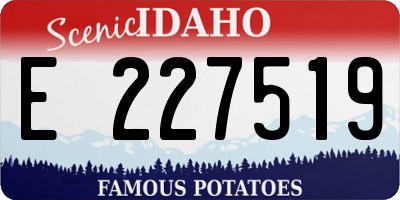 ID license plate E227519