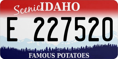 ID license plate E227520
