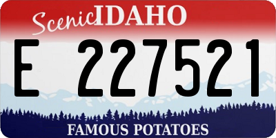 ID license plate E227521
