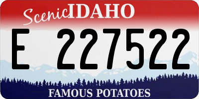 ID license plate E227522