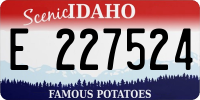 ID license plate E227524