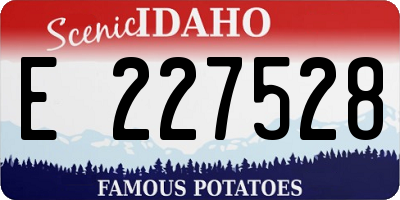 ID license plate E227528