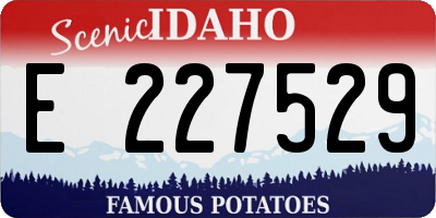 ID license plate E227529
