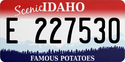 ID license plate E227530