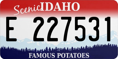 ID license plate E227531