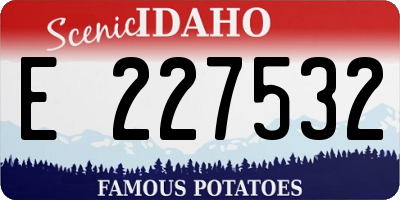 ID license plate E227532