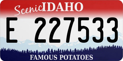 ID license plate E227533