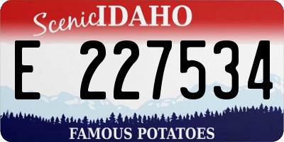ID license plate E227534