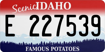 ID license plate E227539