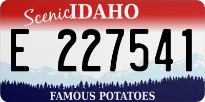 ID license plate E227541
