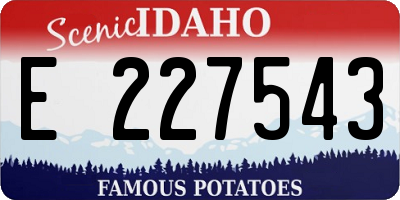 ID license plate E227543