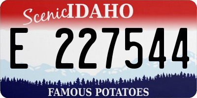 ID license plate E227544