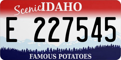 ID license plate E227545