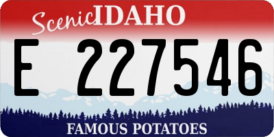 ID license plate E227546