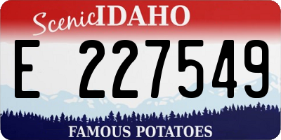 ID license plate E227549