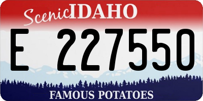 ID license plate E227550